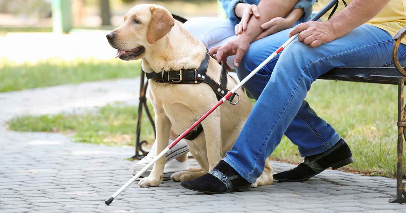 Person with assistance dog receiving support